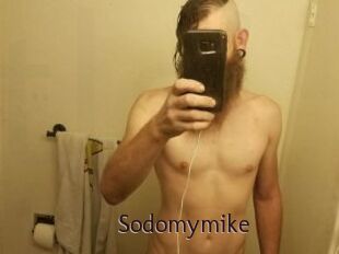 Sodomymike
