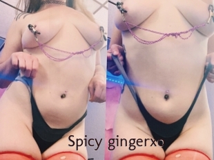 Spicy_gingerxo