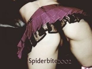 Spiderbite2002