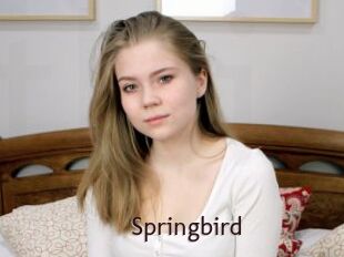 Springbird