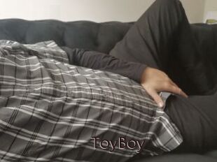 T0yB0y
