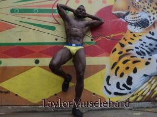 TaylorMusclehard