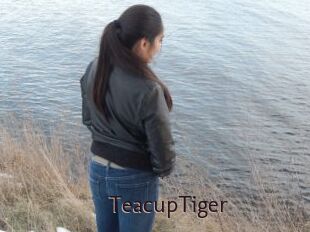 TeacupTiger