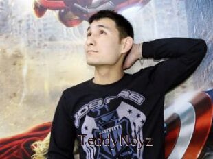TeddyNoyz