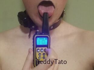 TeddyTato
