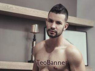 TeoBanner