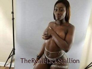 TheRealBlackStallion