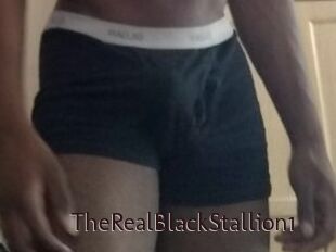 TheRealBlackStallion1