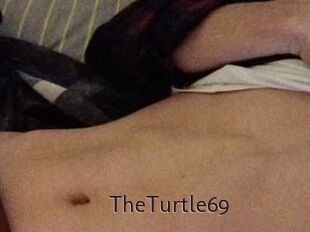 TheTurtle69