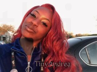 TinyAndrea