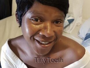 TinyToosh