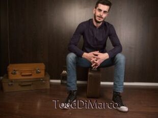 ToddDiMarco