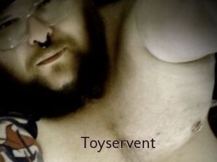 Toyservent