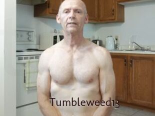 Tumbleweed13