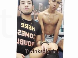 Twinksbigdick