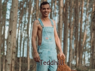Teddhill