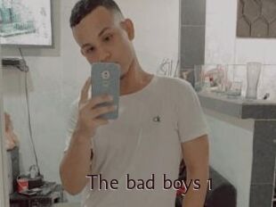 The_bad_boys_1