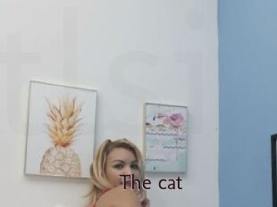 The_cat