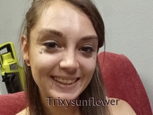 Trixysunflower