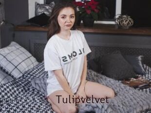 Tulipvelvet