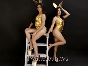 Twohotbunnys