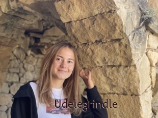 Udelegrindle