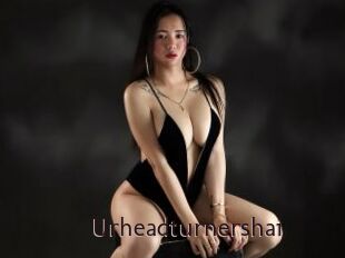 Urheadturnershai