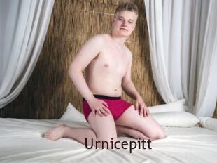 Urnicepitt