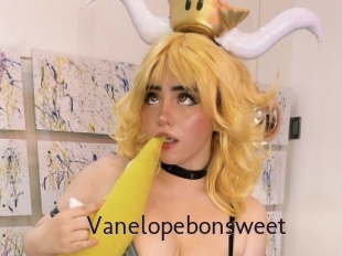 Vanelopebonsweet
