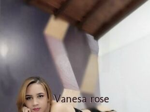 Vanesa_rose
