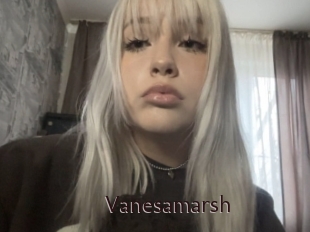 Vanesamarsh
