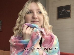 Vannessaspark