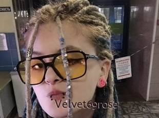 Velvet69rose