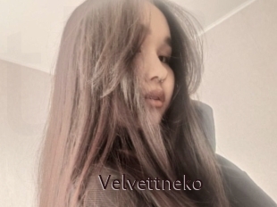 Velvettneko