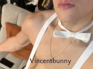 Vincentbunny