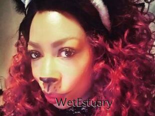 WetEstuary