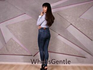 WhatIsGentle