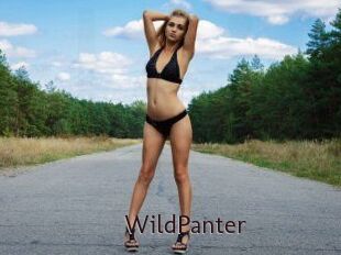 WildPanter