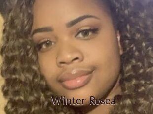 Winter_Rosea