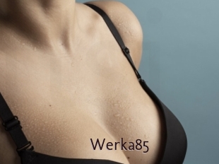 Werka85