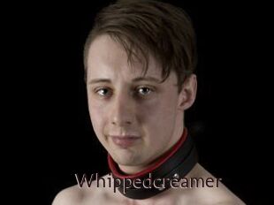 Whippedcreamer