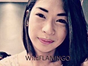 WildFLAMINGO