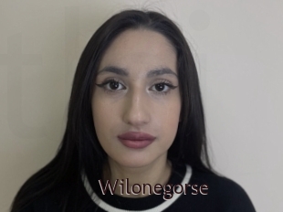 Wilonegorse