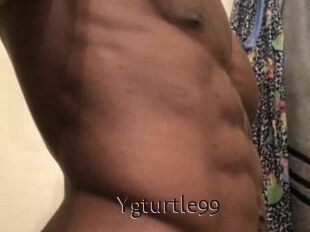 Ygturtle99