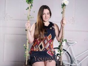 YoungXDi