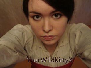 YourWildKittyX