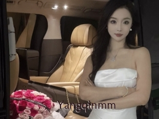 Yangqinmm