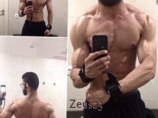 Zeus23