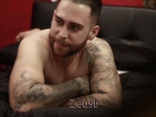 Zeusb